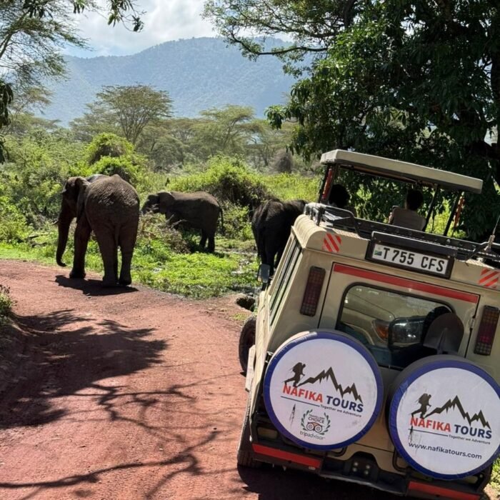 What to Pack For Your Tanzania Safari