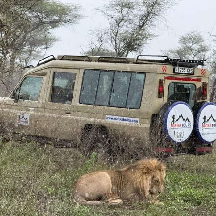 Nafika Tours Safari Vehicle