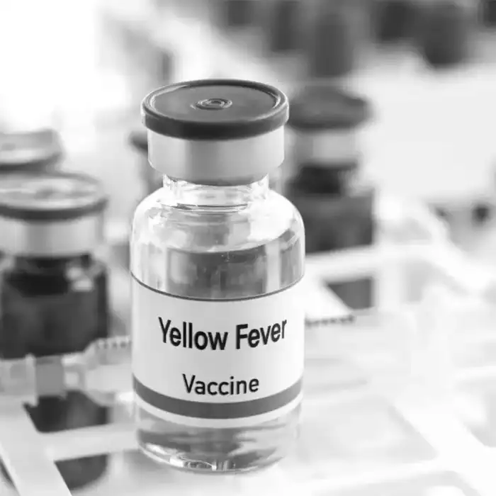 What Vaccinations Are Required for Tanzania Travel? (Complete 2026 Guide)