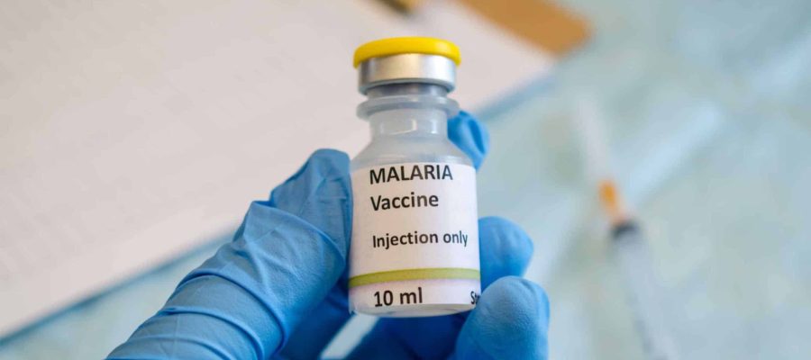 yellow-fever-and-malaria-differences-overview-scaled
